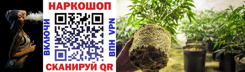Наркотические вещества Рыбинск АМФ  ГАШ  APVP  Канабис  Codein  Cocaine 