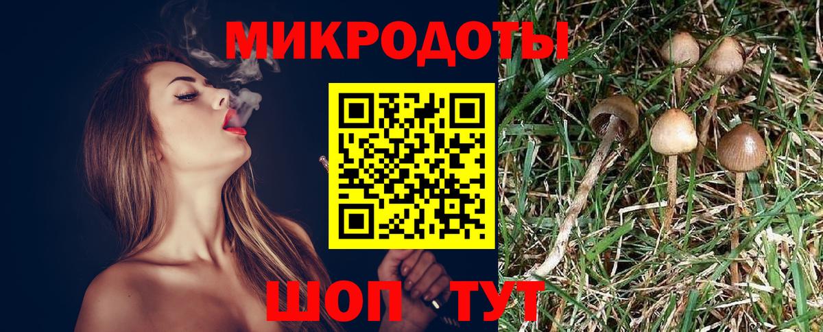 Рыбинск  Псилоцибиновые грибы Psilocybe  Вход с VPN  Галлюциногенные грибы прущие грибы 